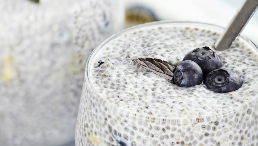 Blueberry coconut chia seed pudding